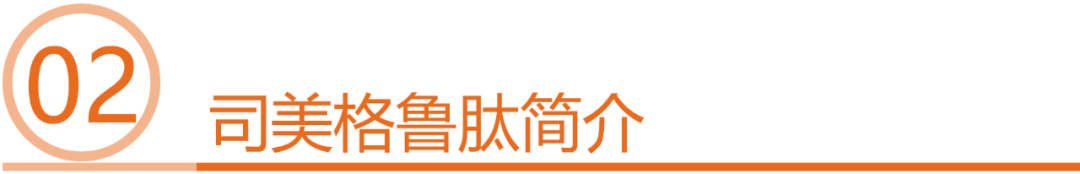 1718158265601283.png 002.png